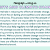 Paragraph on Plants and Climate Change