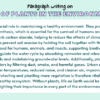 Paragraph on Role of Plants in the Environment