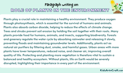 Paragraph on Role of Plants in the Environment
