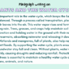 Paragraph on Plants and the Water Cycle