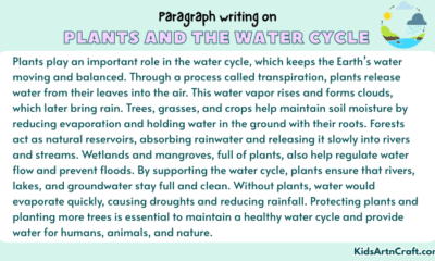 Paragraph on Plants and the Water Cycle