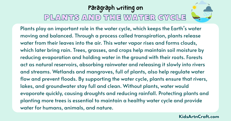 Expository Paragraph on Plants and the Water Cycle (Explains with Facts)