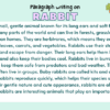 Paragraph on Rabbit