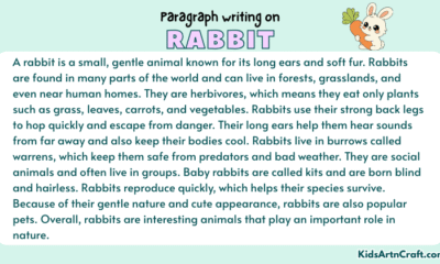 Paragraph on Rabbit