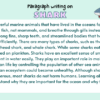 Paragraph on Shark