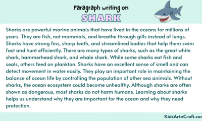 Paragraph on Shark