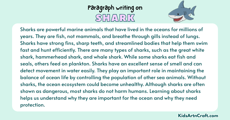Paragraph on Shark