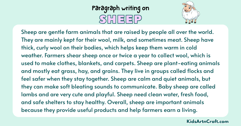 Expository Paragraph on Sheep (Explains with Facts)