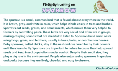 Paragraph on Sparrow