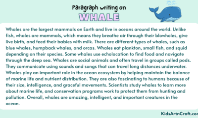 Paragraph on Whale