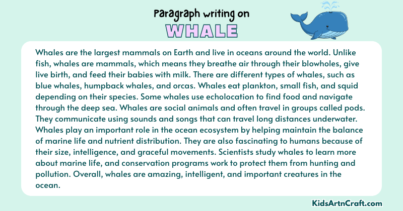 Paragraph on Whale