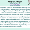 Paragraph on Zebra