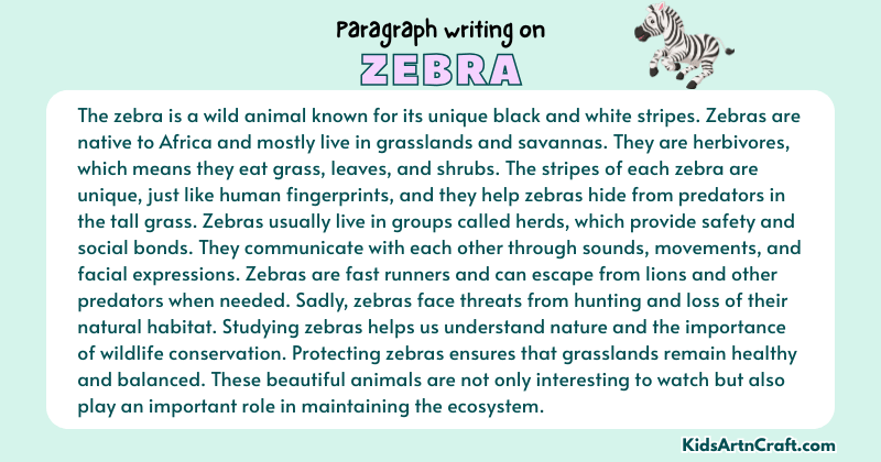 Paragraph on Zebra
