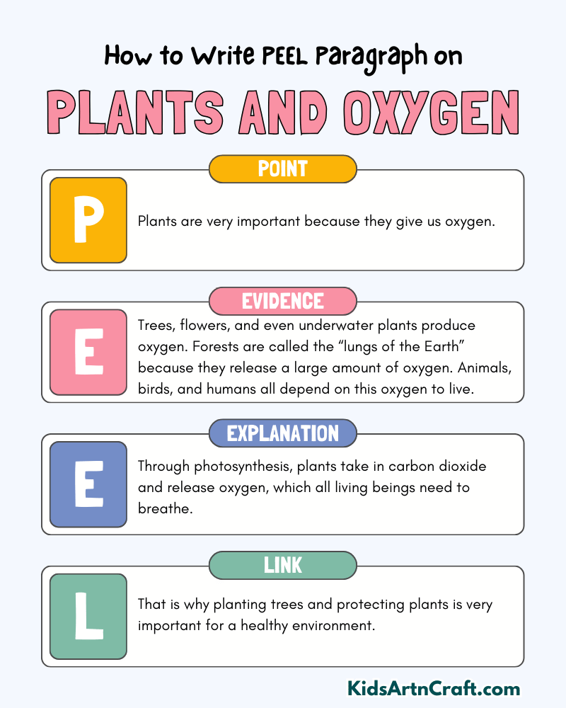 Plants and Oxygen Paragraph Writing with PEEL Method
