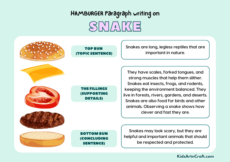 Snake Paragraph Writing with Hamburger Method
