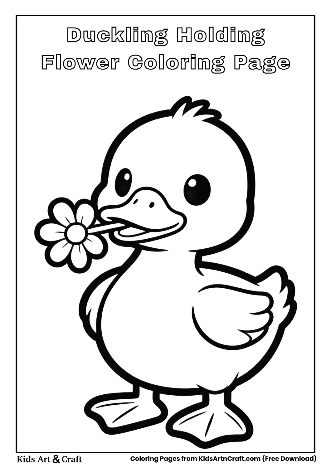Baby duckling holding flower simple outline coloring sheet