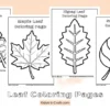 Leaf Coloring Pages For Kids