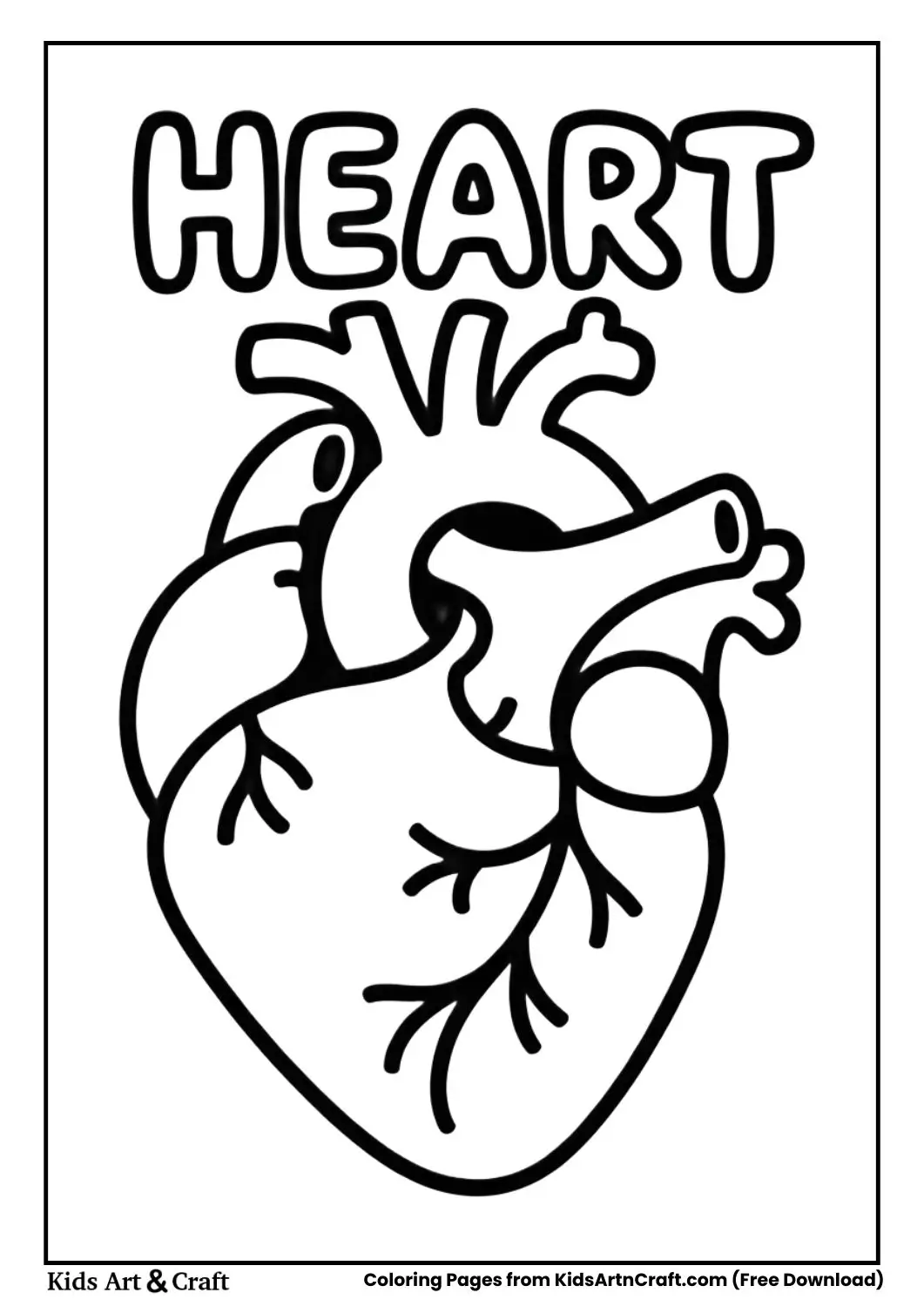 Simple human heart coloring page labeled Heart for kids