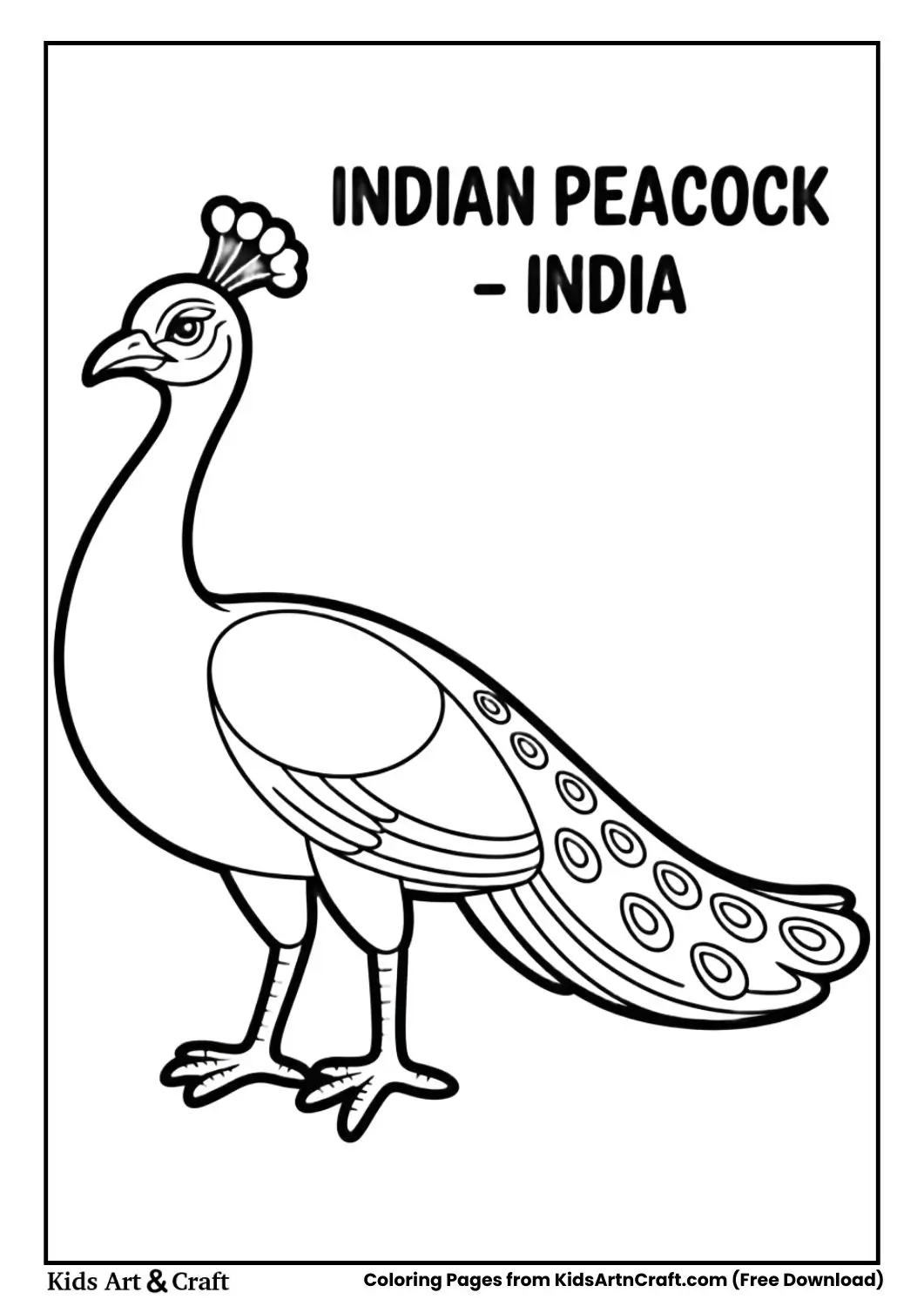 Black and white coloring page of Indian Peacock with partially spread feathers labeled India