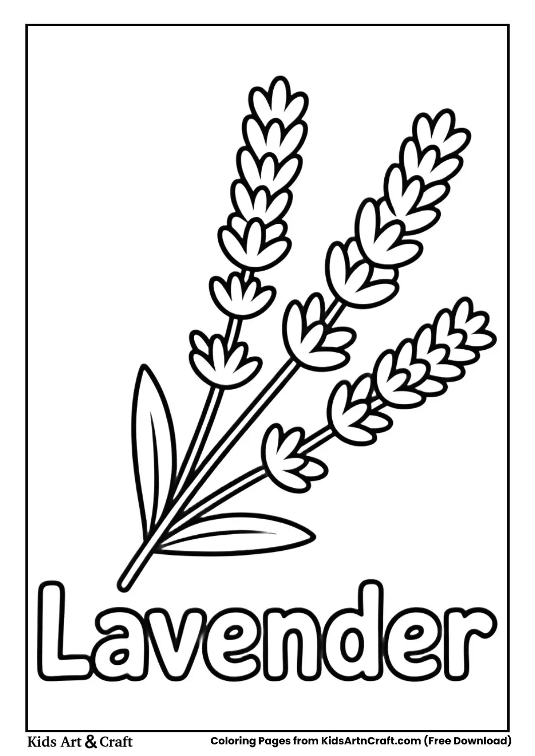 Lavender flower black and white coloring page with the name Lavender