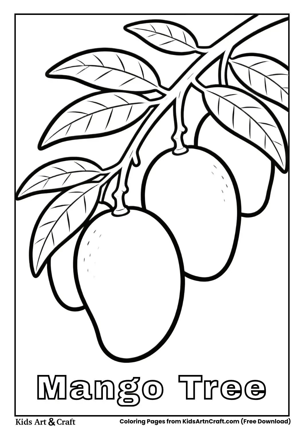 Black and white mango tree with simple rounded mango fruits