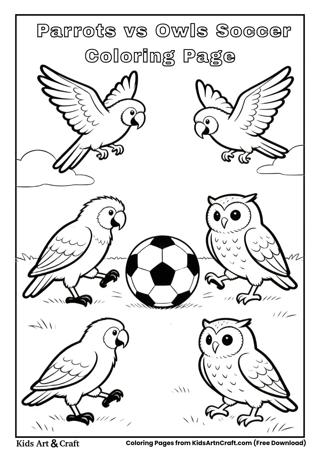 Parrot and owl teams playing soccer in black and white line art