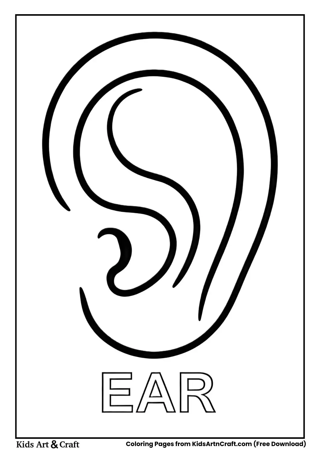 Human ear coloring page labeled Ear for kids