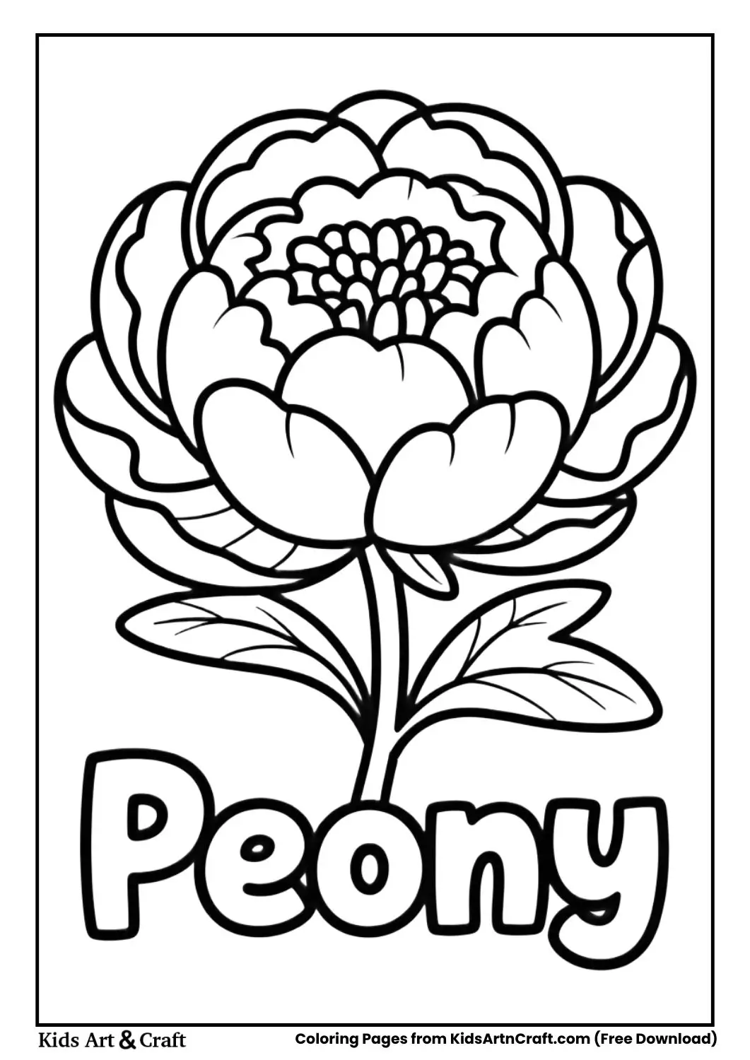 Peony flower black and white coloring page with the name Peony