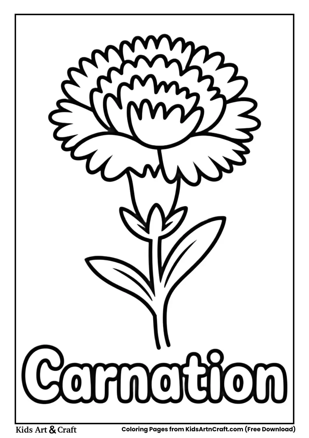 Carnation flower black and white coloring page with the name Carnation