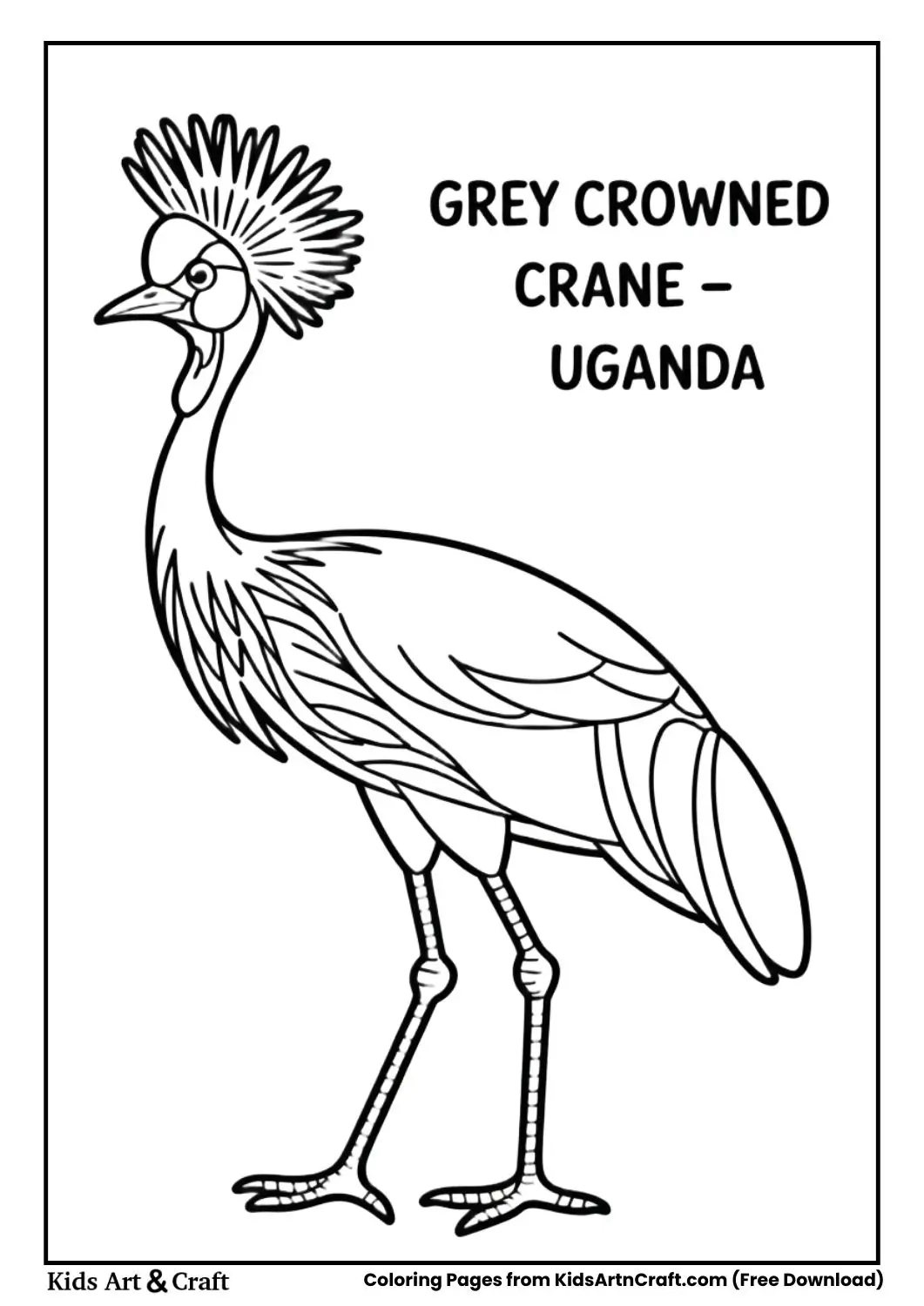 Black and white Grey Crowned Crane standing labeled Uganda