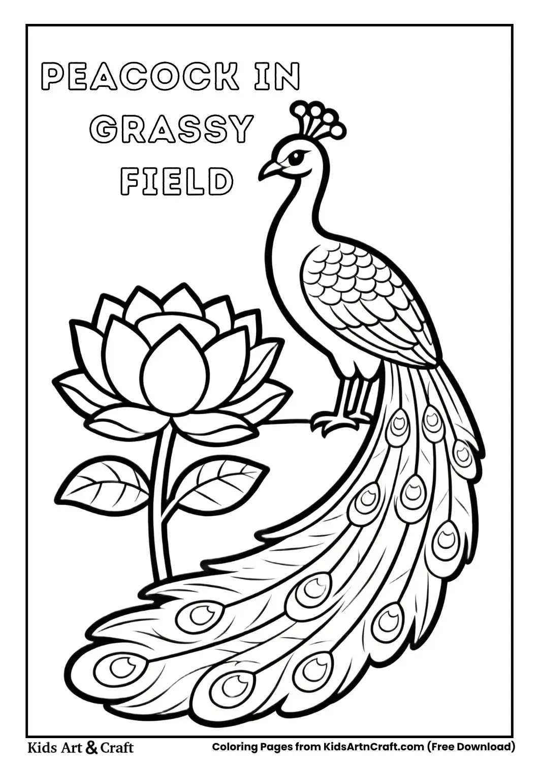 Peacock standing in grassy field simple coloring page
