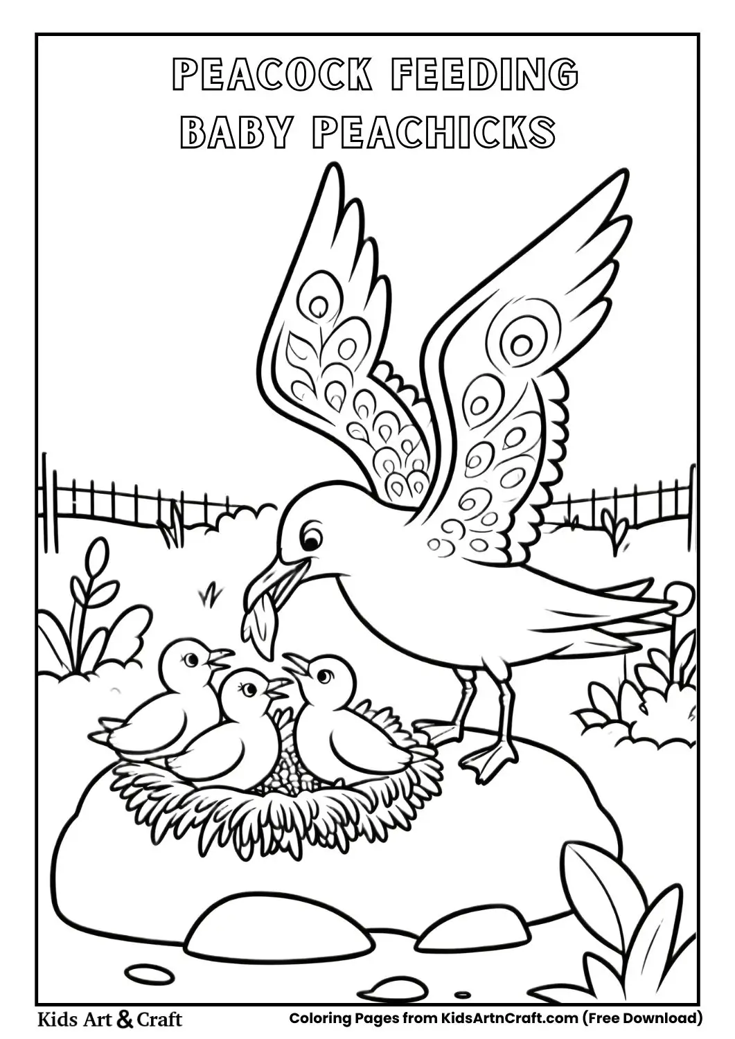 Peacock feeding baby peachicks in garden nest coloring page black and white