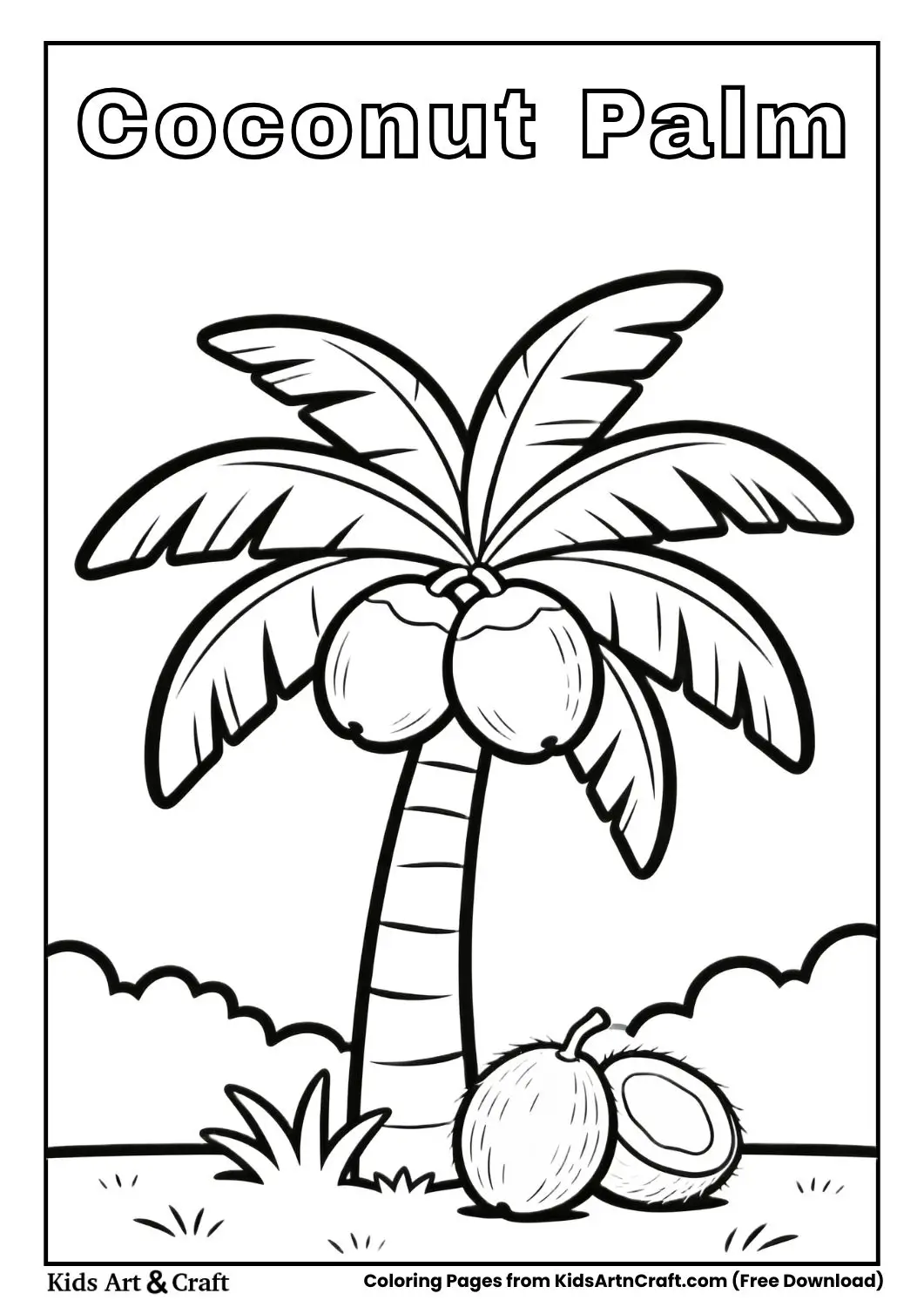 Black and white coconut palm tree with large coconuts