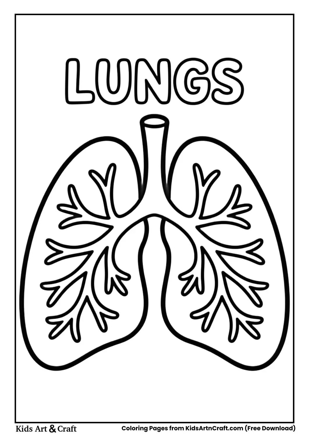 Human lungs coloring page labeled Lungs for children