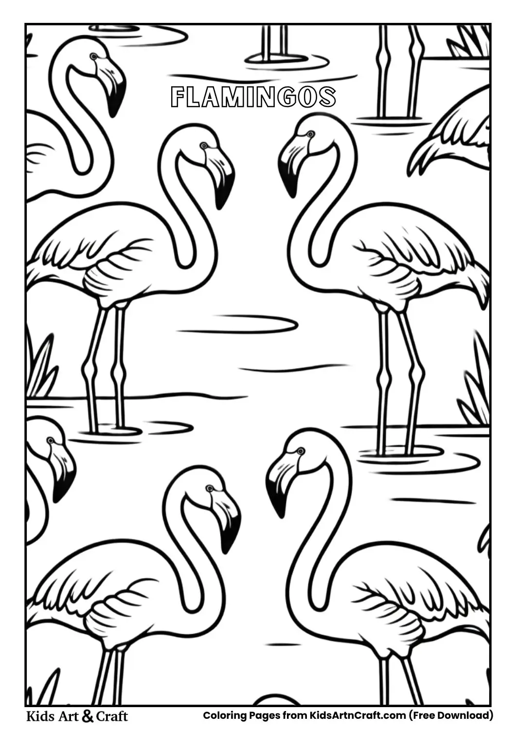 Flamingos standing in water simple coloring page
