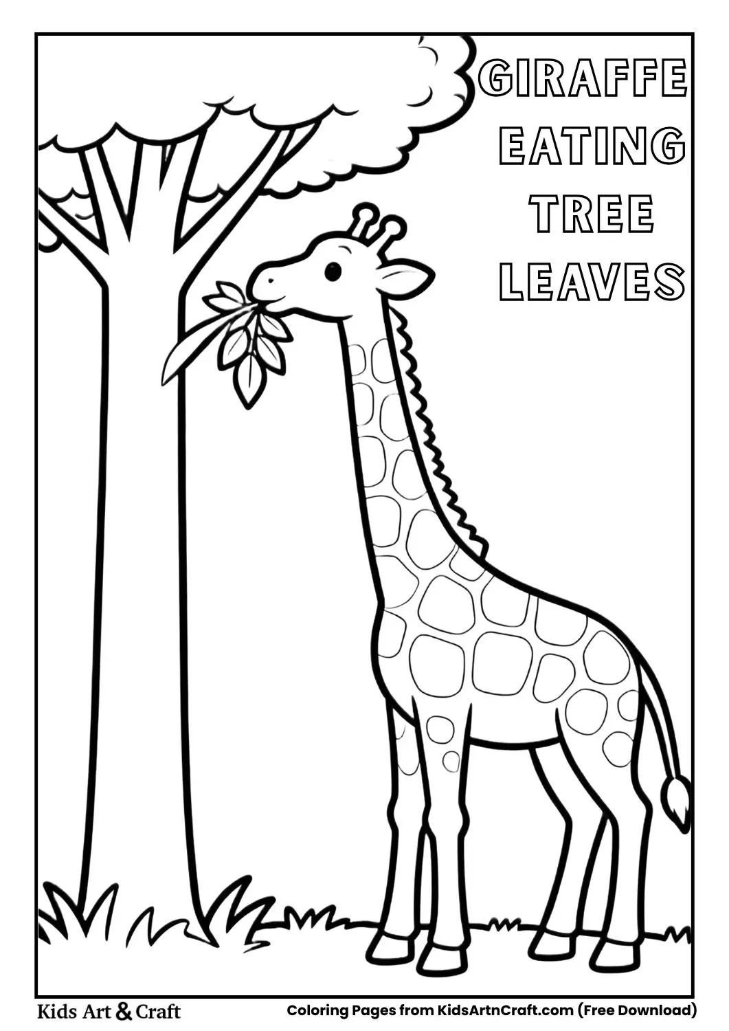Giraffe eating leaves from tree coloring page
