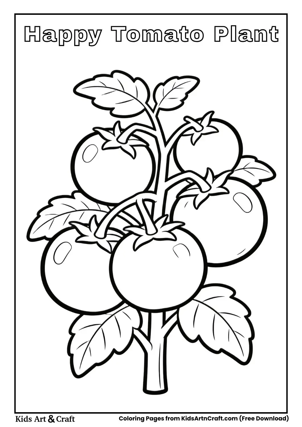Black and white line art of a tomato plant with large tomatoes and leaves