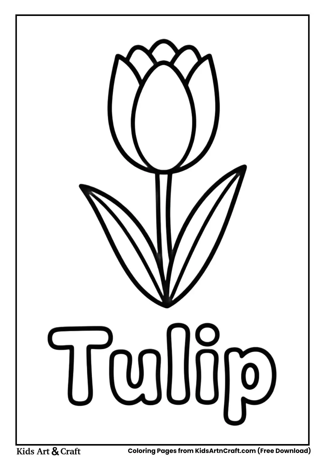 Tulip flower black and white coloring page with the name Tulip