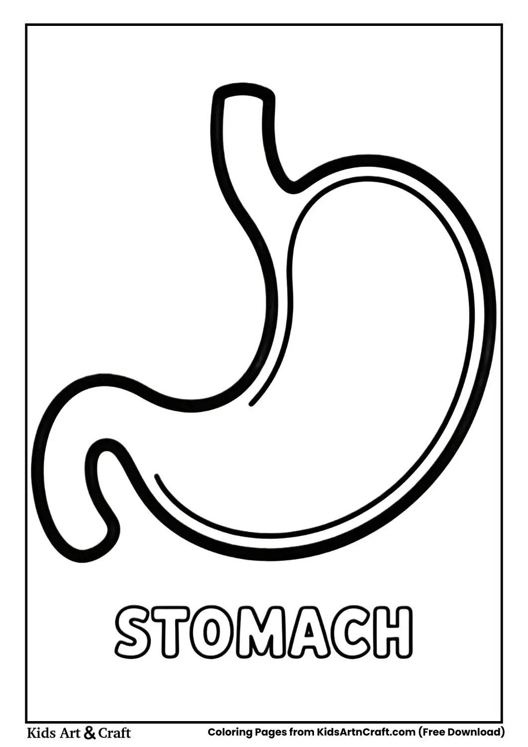 Human stomach coloring page labeled Stomach for children