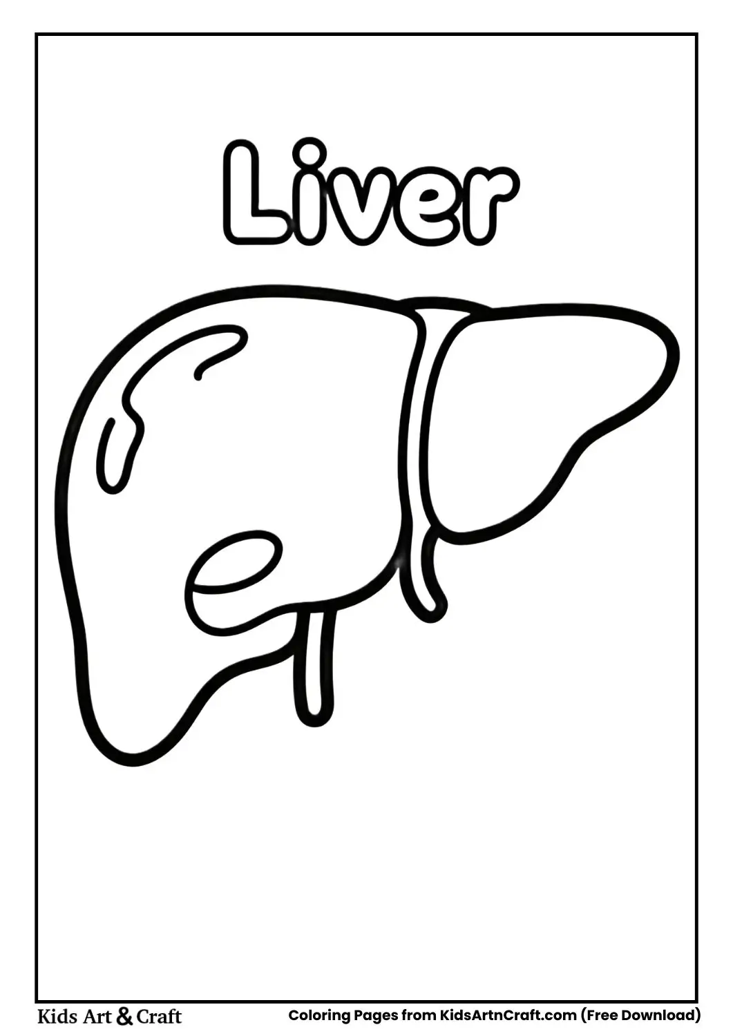 Human liver coloring page labeled Liver for kids