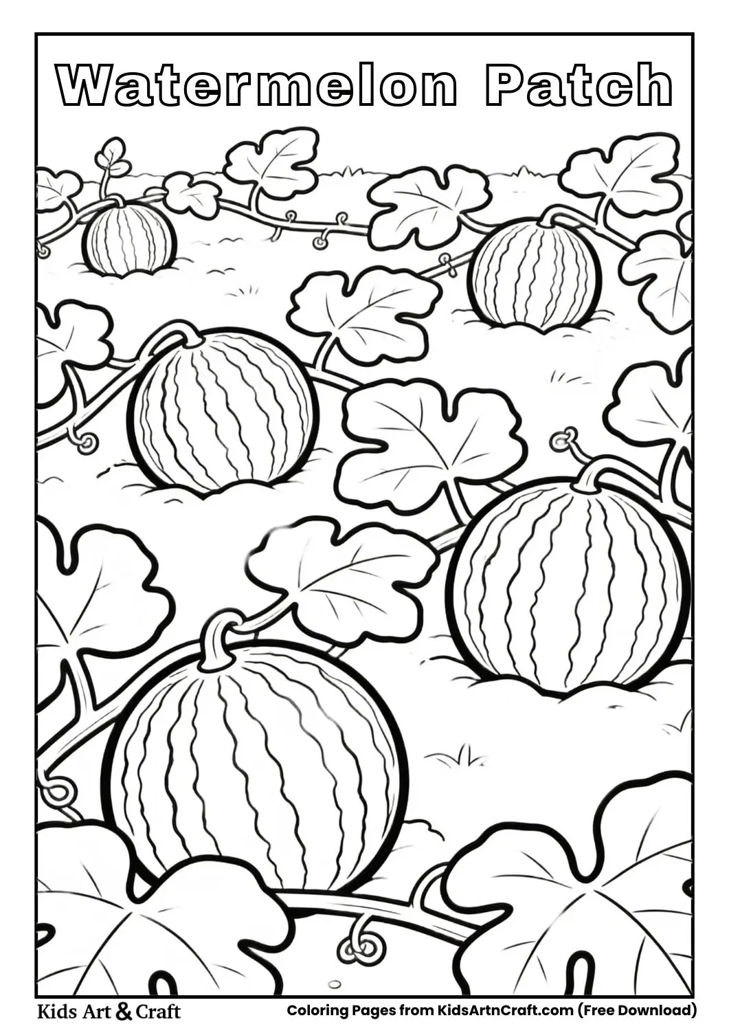 Black and white watermelon patch with round watermelons and vines