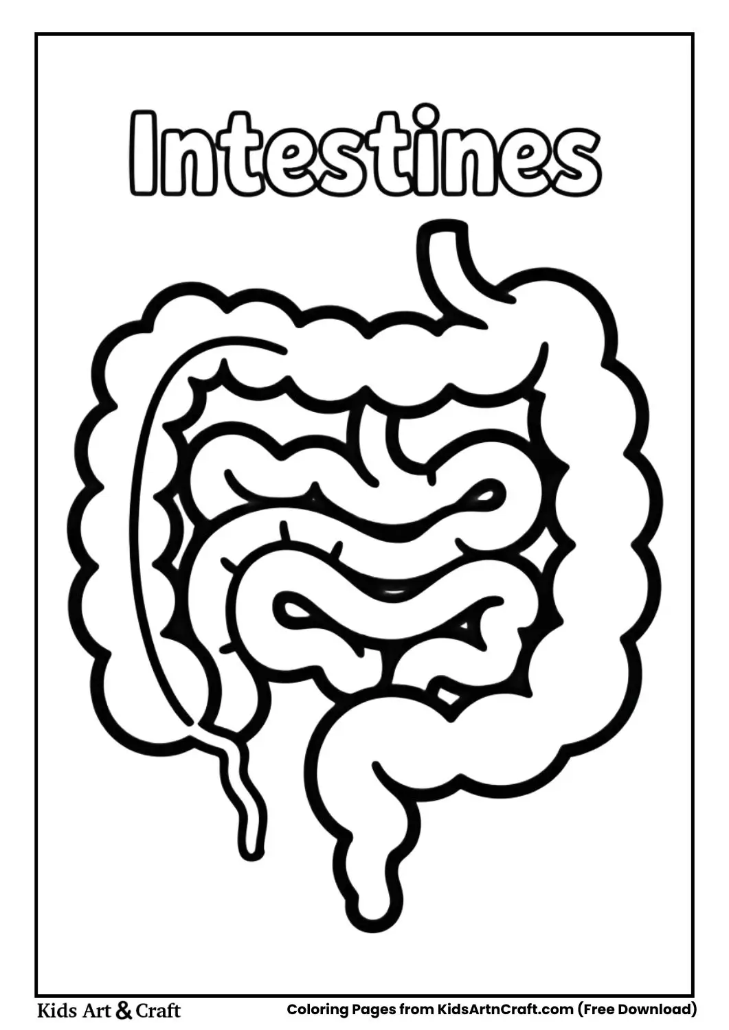 Human intestines coloring page labeled Intestines for kids