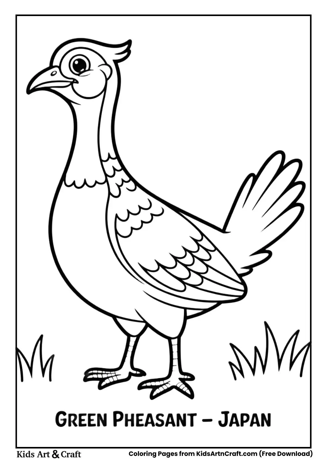 Black and white Green Pheasant standing on grass labeled Japan