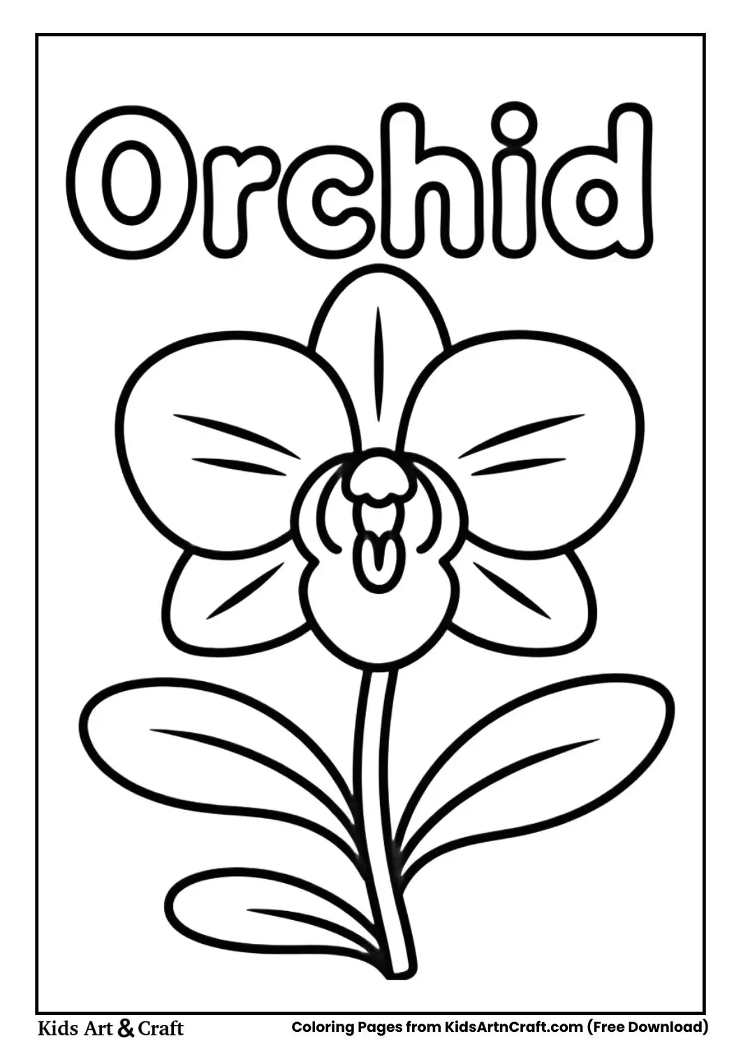 Orchid flower black and white coloring page with the name Orchid