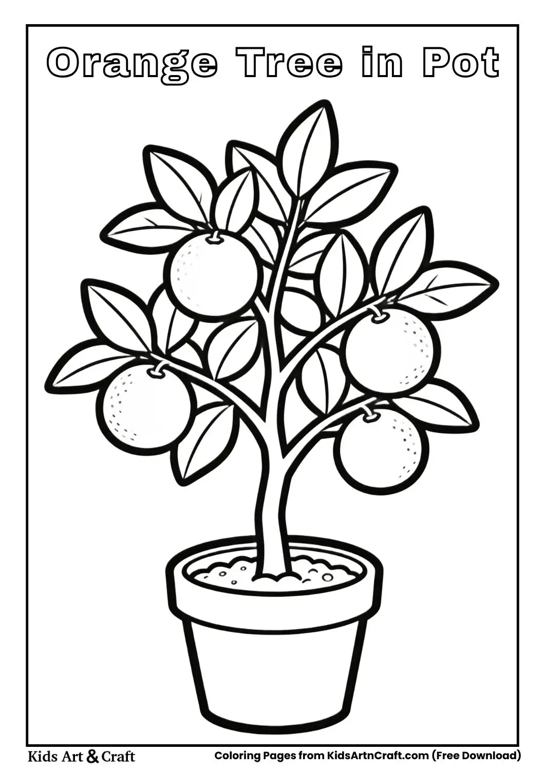 Black and white orange tree in a garden pot with round oranges