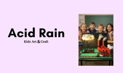 Acid Rain Working Model for School Project