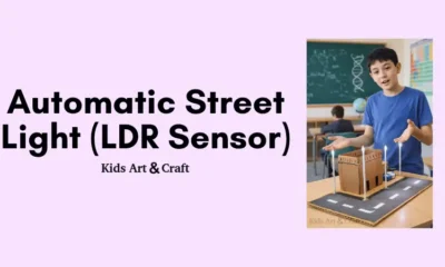 Automatic Street Light Project with LDR For Student