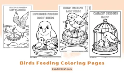 Birds Feeding Baby Birds Coloring Pages for Kids