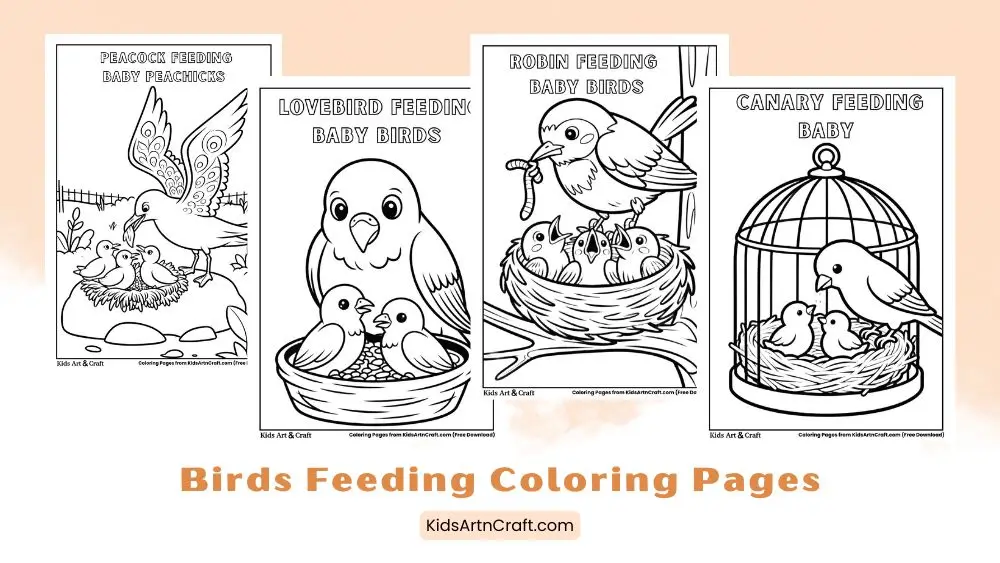Birds Feeding Baby Birds Coloring Pages for Kids
