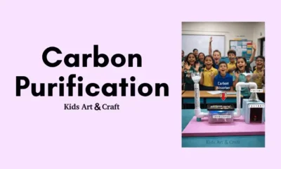 DIY Carbon Air Purifier Science Project for Kids